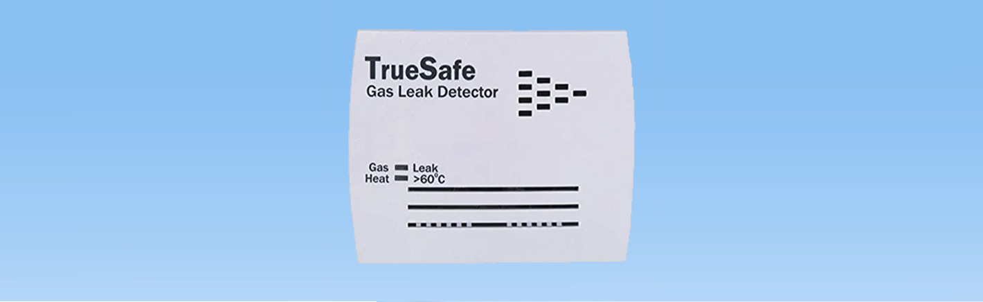 True Safe Gas Leak Detection Dealers in Chakan